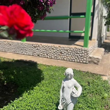 Alpstuga Ambel Dhërmi