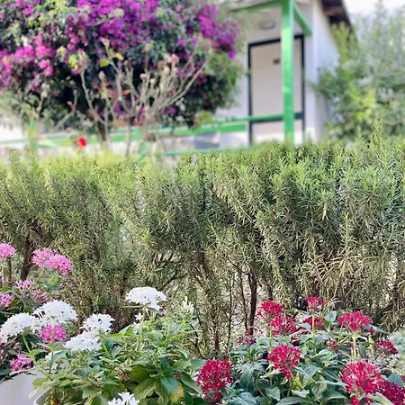 شاليه Ambel ديرمي