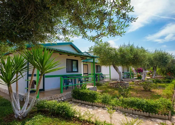 Ambel * Дхерми