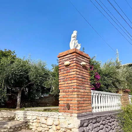 Ambel דרמי